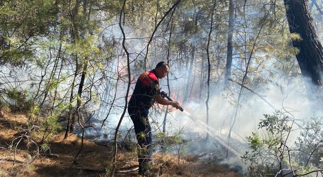 Milas’ta orman yangını kontol altına alındı