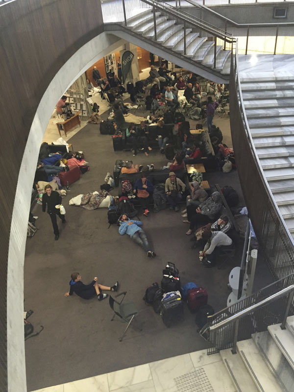 Yeni Zelanda beşik gibi!