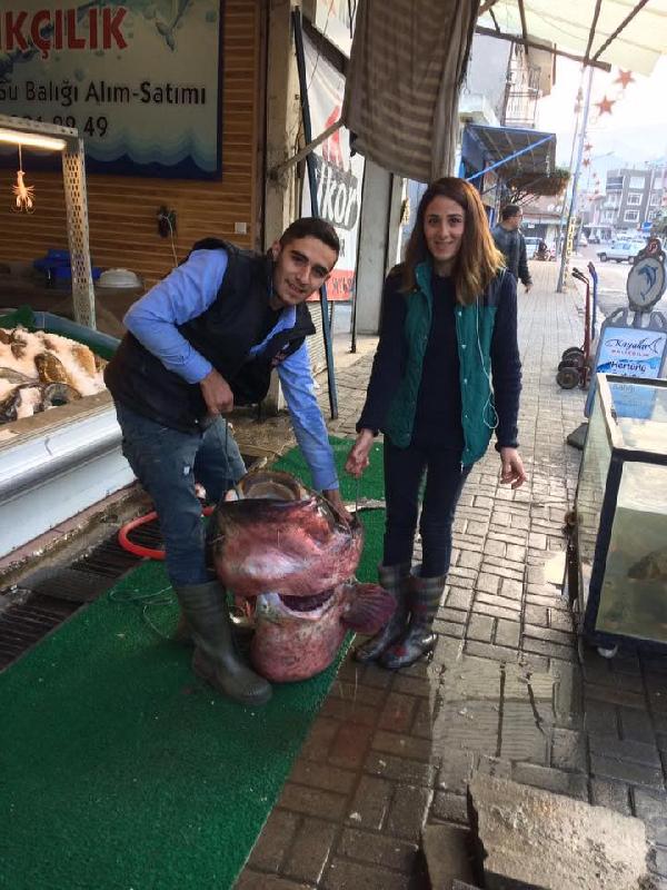 Dev yayın balığı görenleri şaşırttı