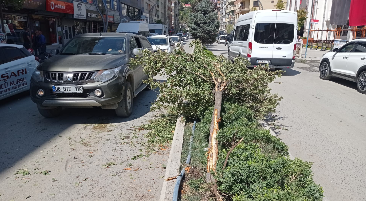 Lastiği patladı! Ağaca çarparak durabildi