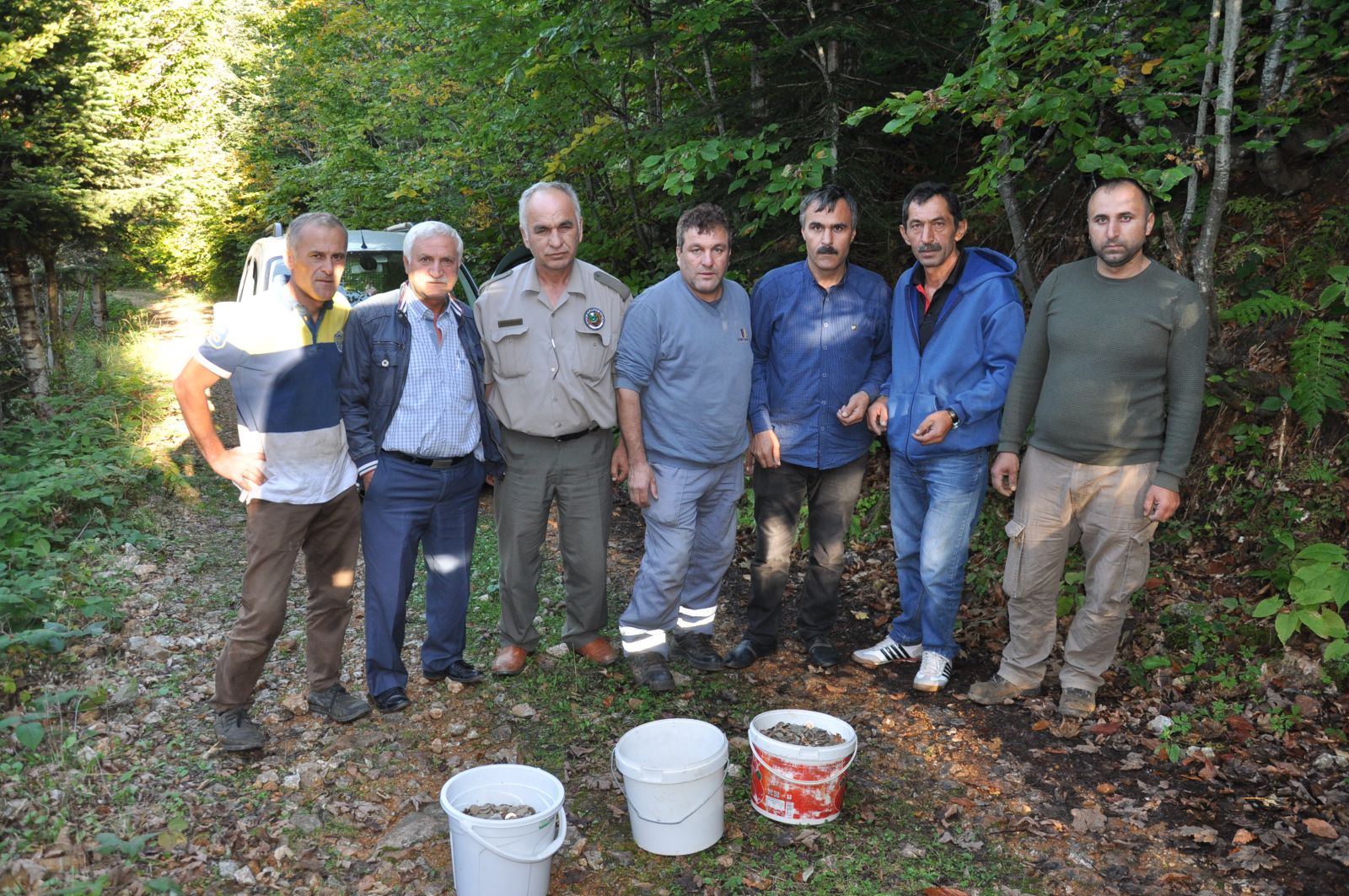 Mantar toplamaya gittiler, 3 kova dolusu para buldular