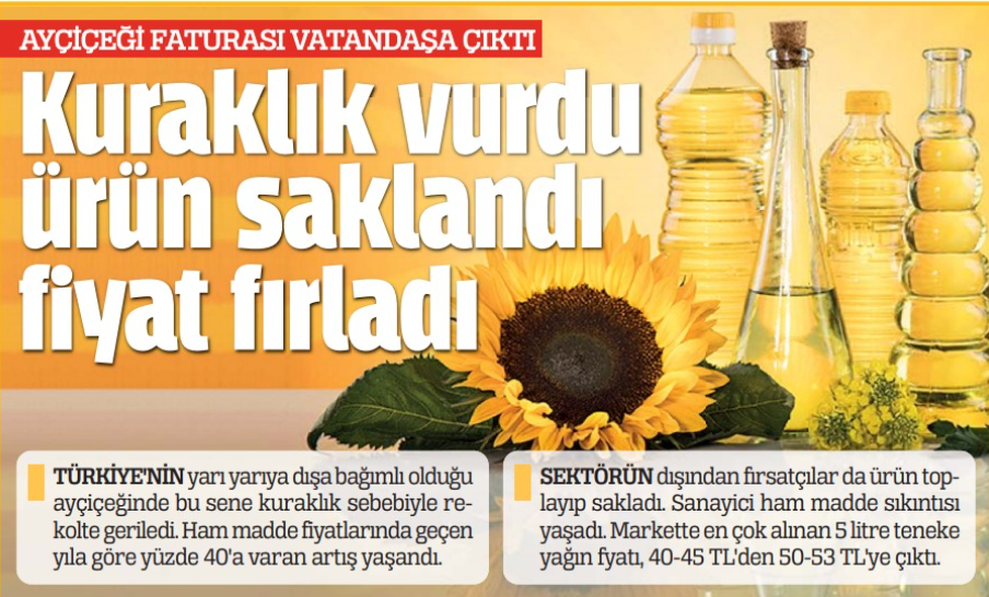 Mercimek ve yağlık ayçiçeği tohumunda gümrük vergileri düşürüldü. Paramız yine elin çiftçisine gidecek