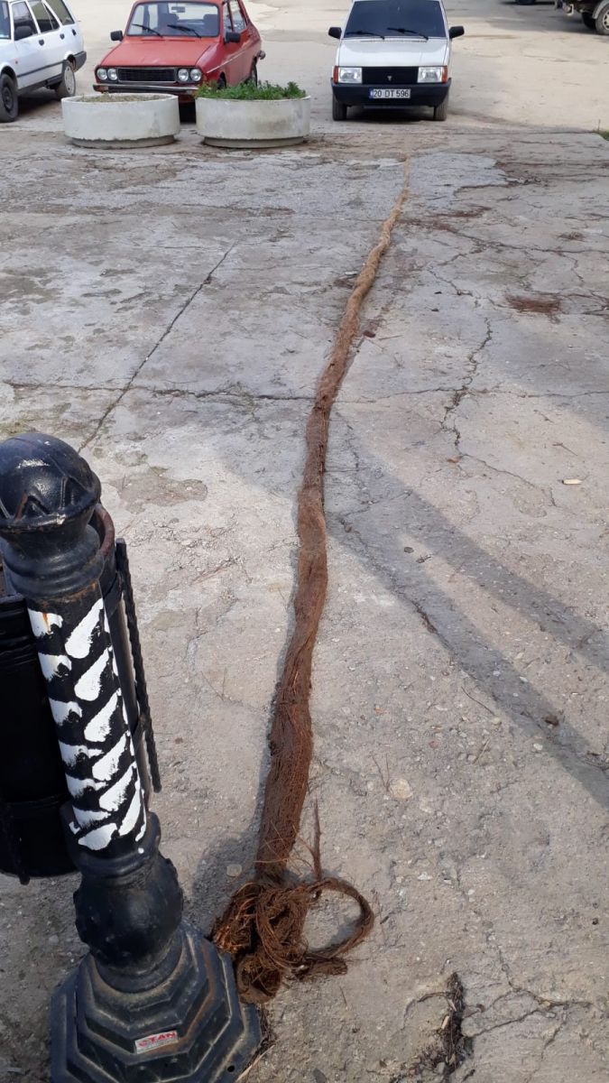 İçme suyu hattından çıktı! Tam 9 metre...