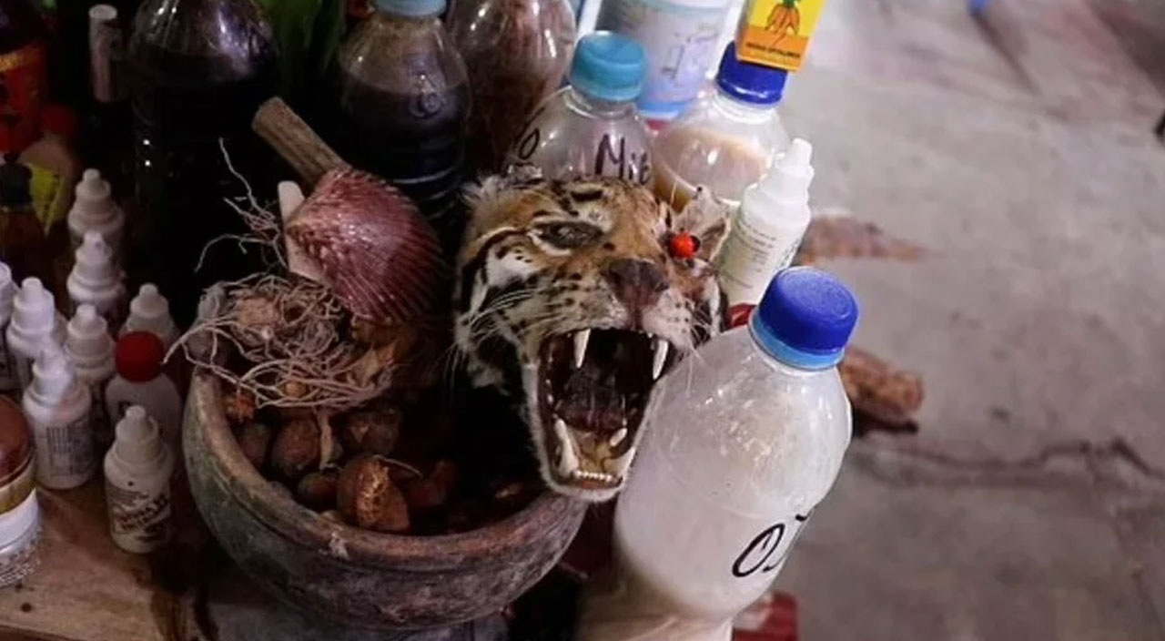 200 yasaklı türü yiyorlar! Amazon'da yeni pandemiye davet