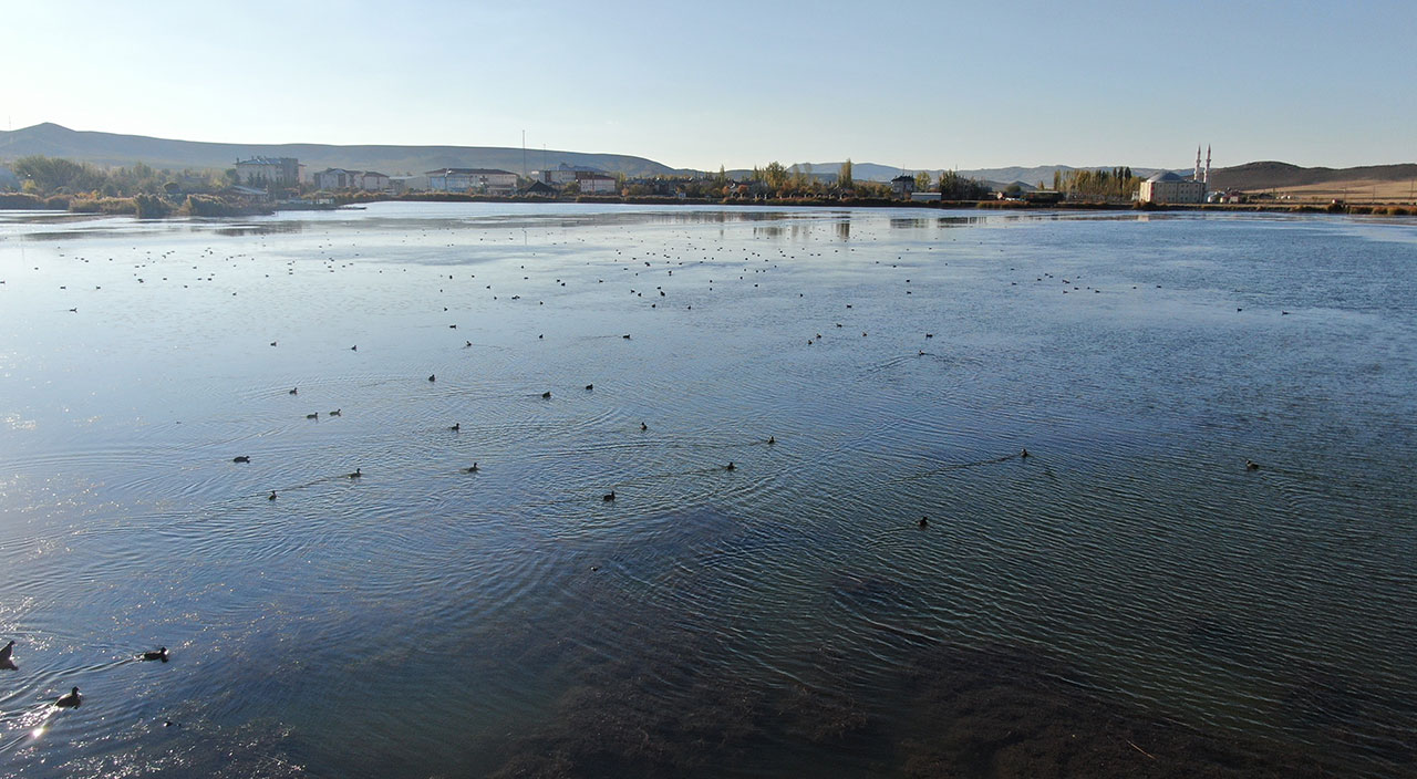 Son görüntüsüyle korkutan Ulaş Gölü eski güzelliğine kavuşuyor