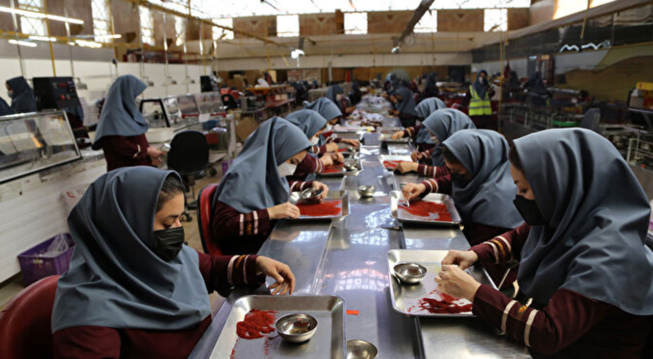 Kuraklık safranı da vurdu! Fiyatlar yüzde 250 arttı