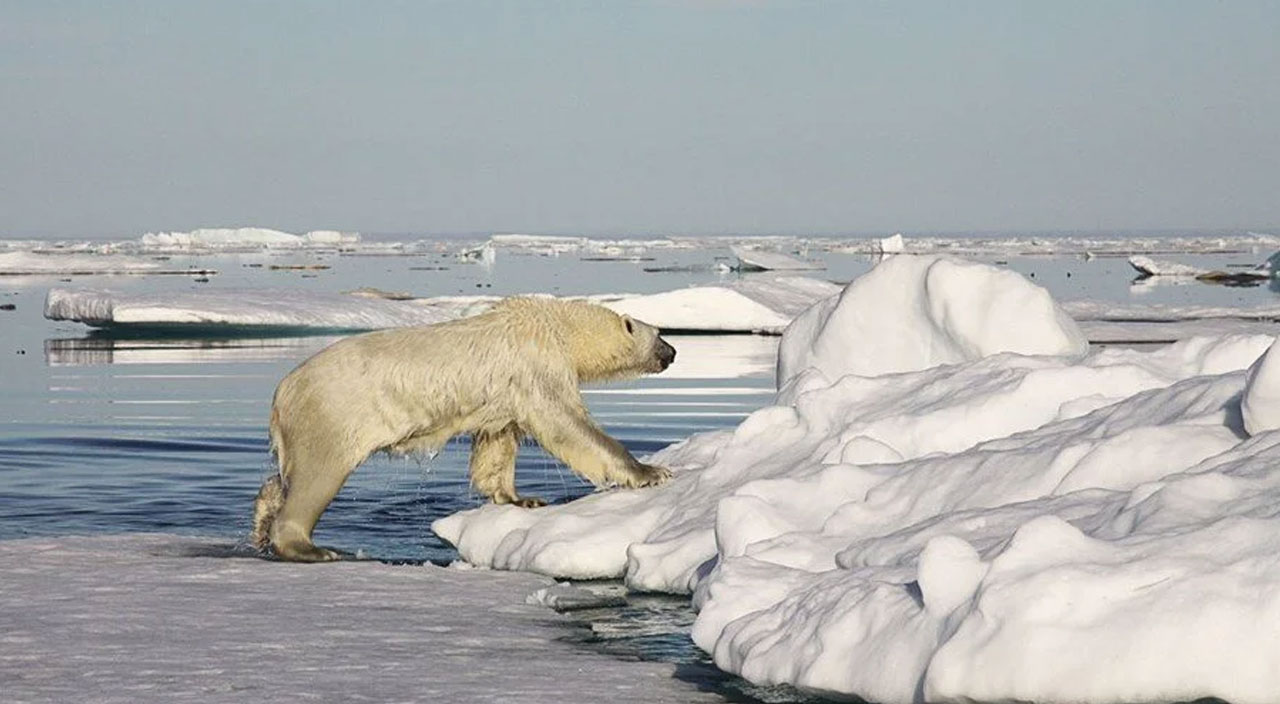 Uzmanlardan felaket uyarısı: Grönland son 10 yılda 3,5 trilyon ton buz kaybetti