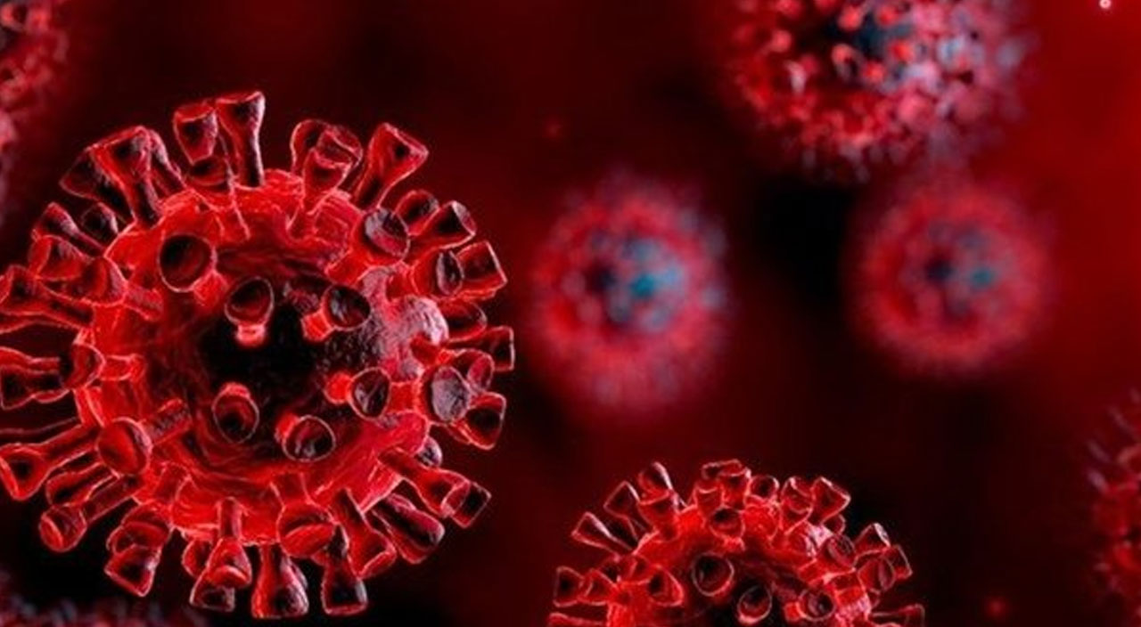 Çin açıkladı: Covid-19'un tüm varyantlarına karşı tam etkili antikor geliştirildi