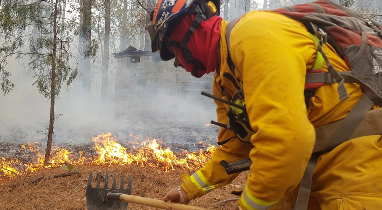 Meksika’da son 24 saatte 39 orman yangını