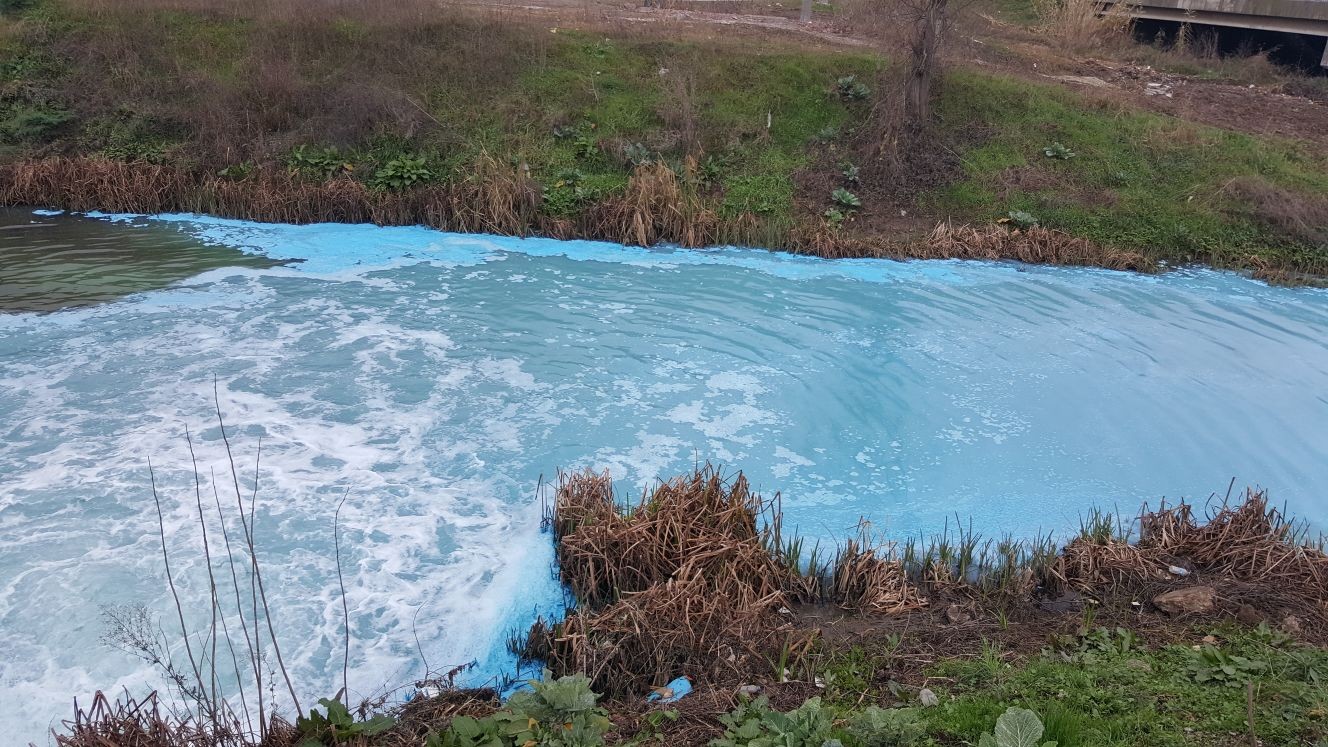 Derenin rengini gören şaşkına dönüyor!