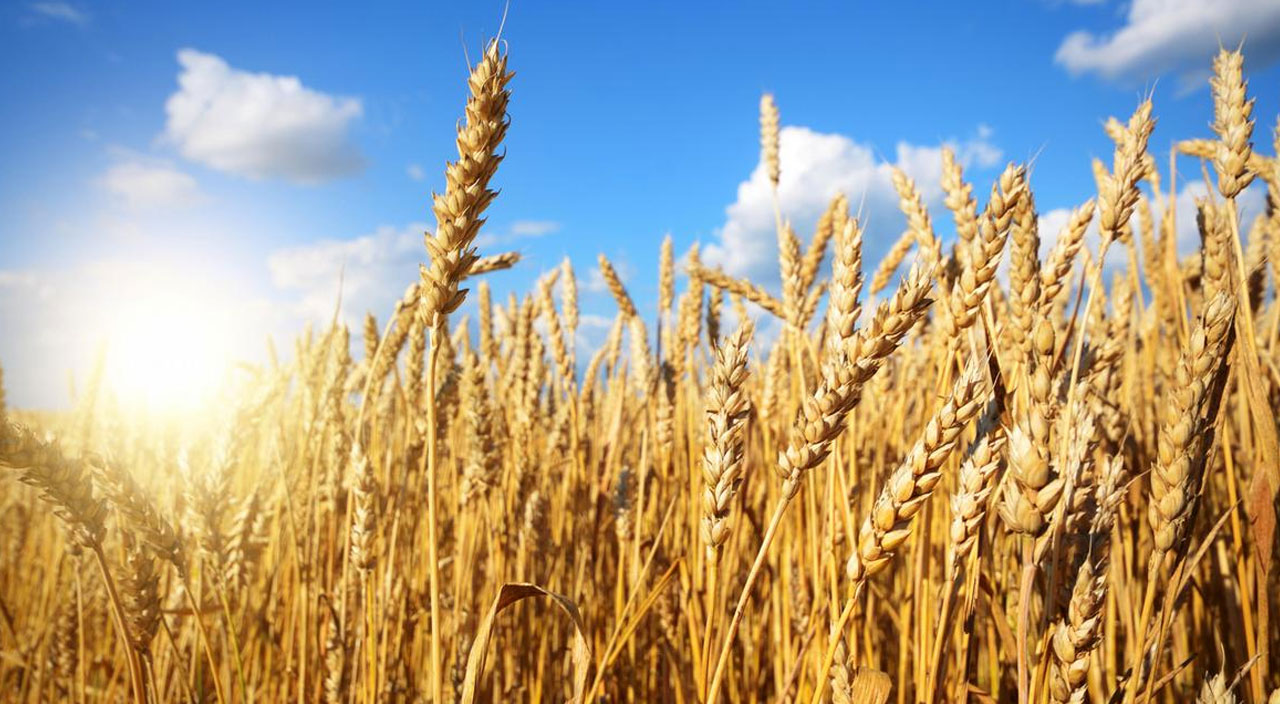 Tüm dünyanın gözü İstanbul’daki zirvede! Gıda krizinde çözüm merkezi Türkiye