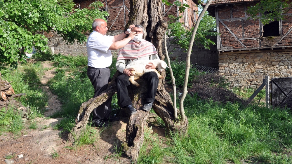 Ağaçta traş oluyorlar!