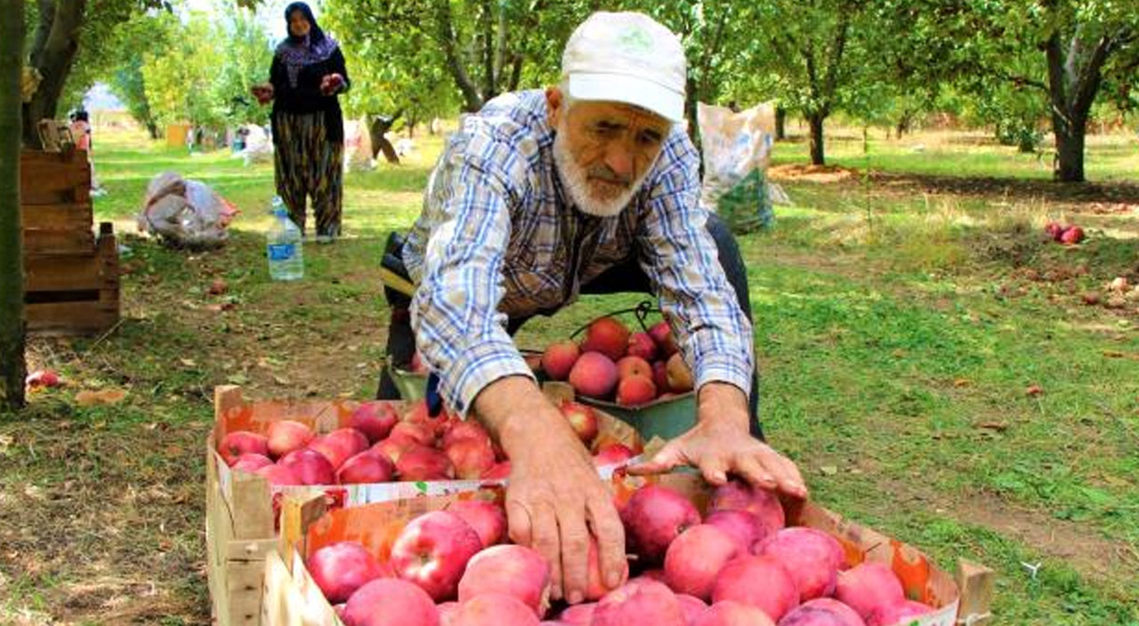 Elma üreticilerinden tepki: “Çiftçi dışında herkes kazanıyor”