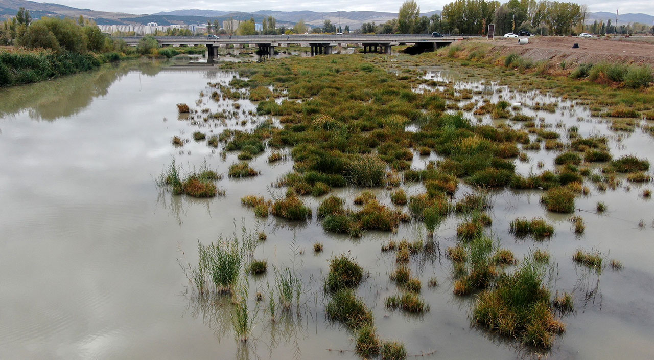 Türkiye’nin en uzun nehri! Kızılırmak otlağa dönüştü