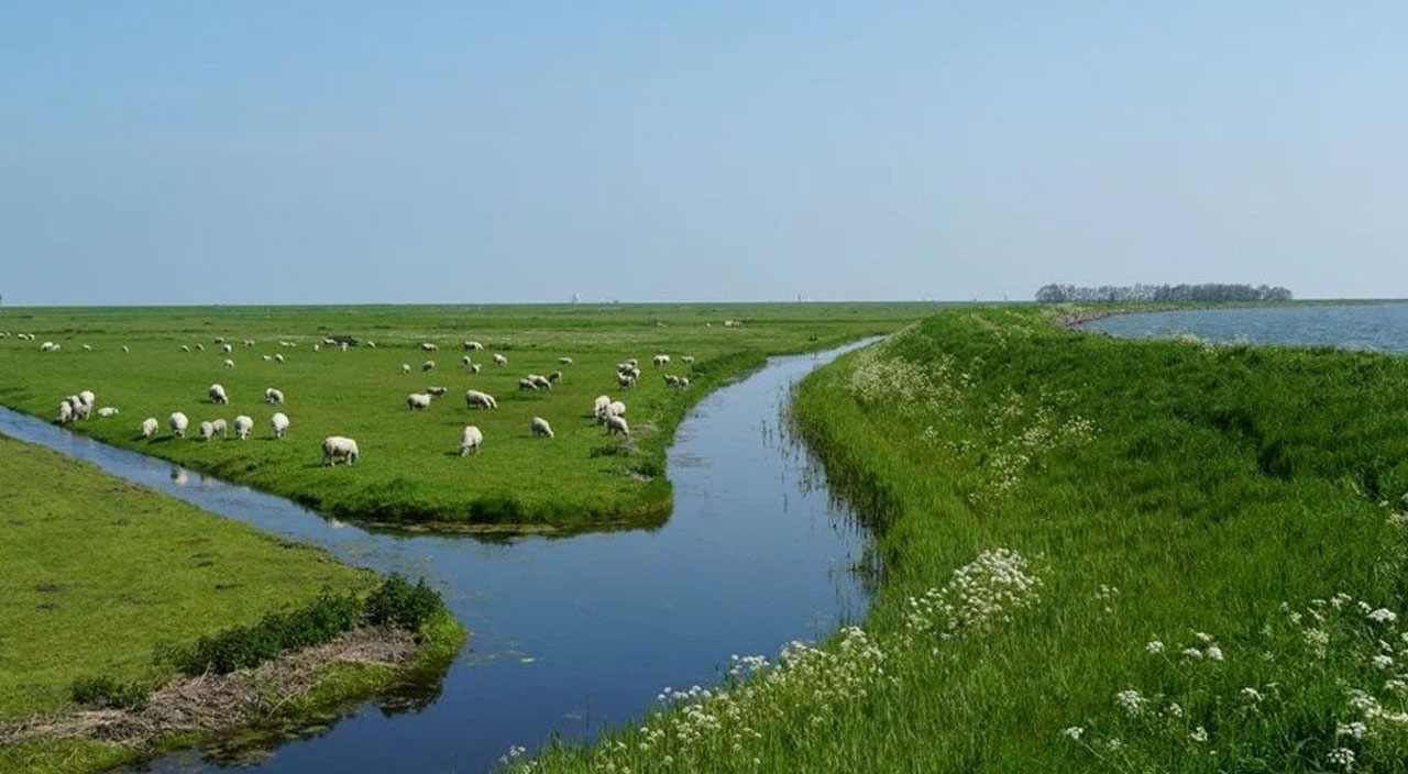 Hollanda’da deniz seviyesi yükselmeye devam ediyor!