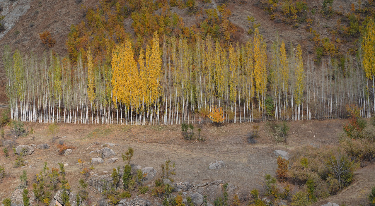 Destanın yazıldığı Kato Dağı doğa severlerin uğrak merkezi haline geldi