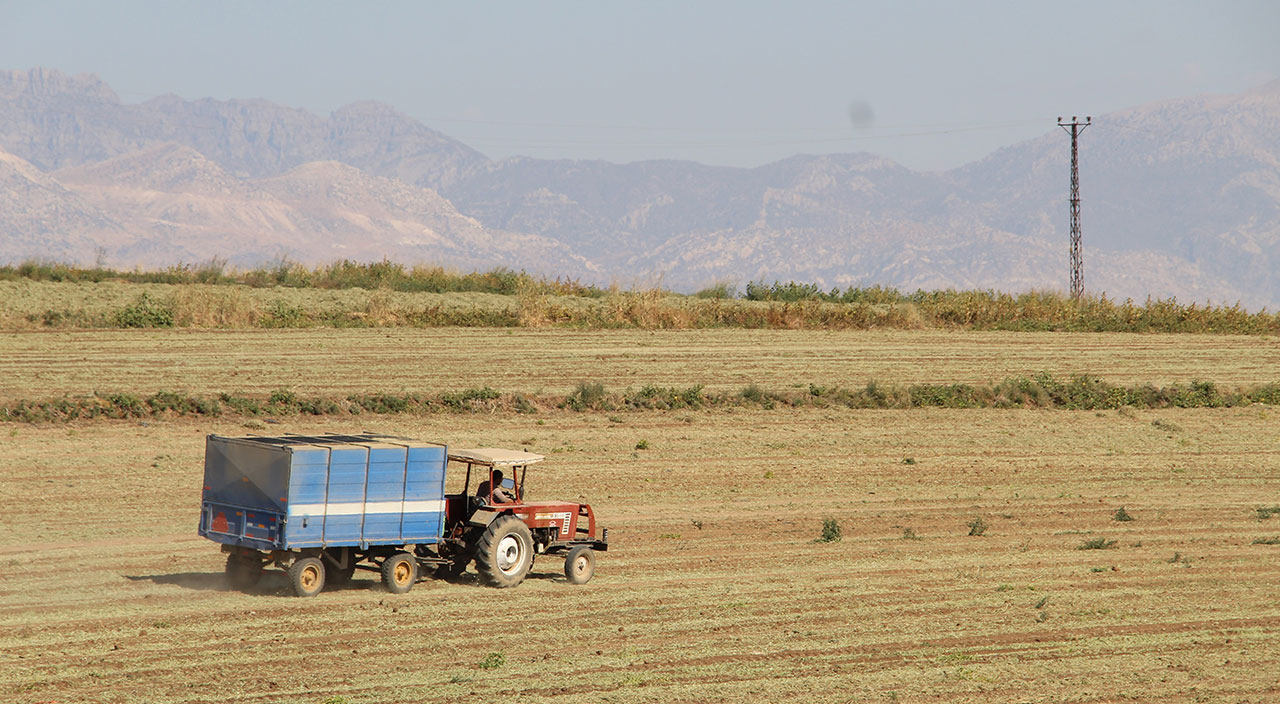Terörden arındırılan Şırnak’ta çiftçiler üretime yöneldi