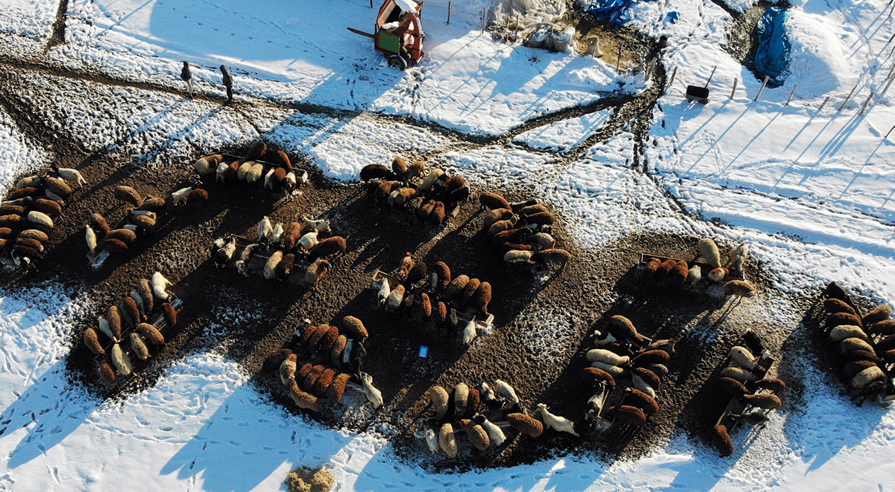 Muş’ta kar kalınlığı 1 metreye ulaştı: Hayat durma noktasına geldi