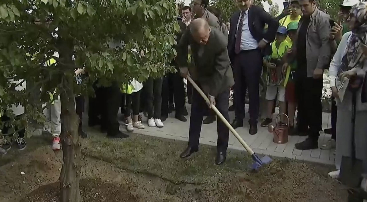 Cumhurbaşkanı Erdoğan Millet Bahçesi’ne ilk fidanı dikti