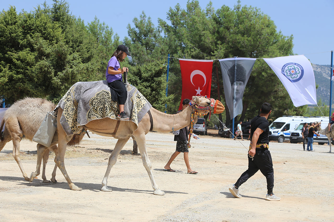 Yörük şenliğinde yanağını at ısıran bebek ameliyata alındı