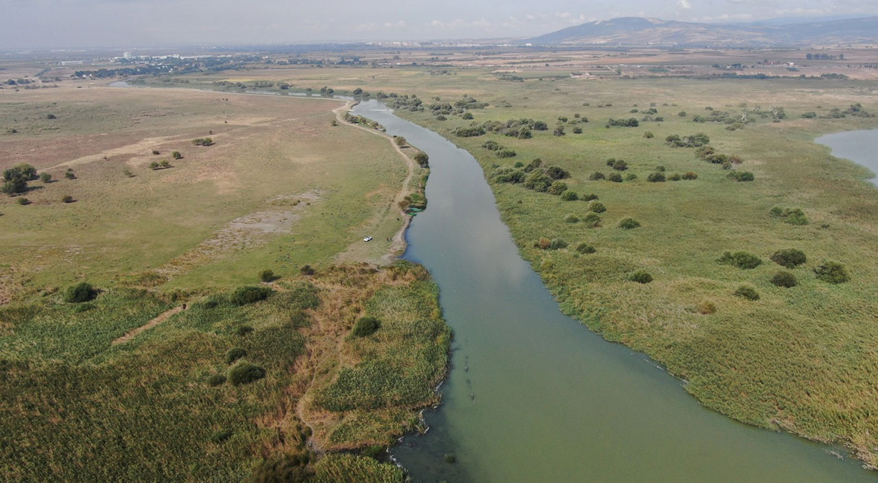 Ulubat Gölü can çekişiyor! Yetkililer uyardı