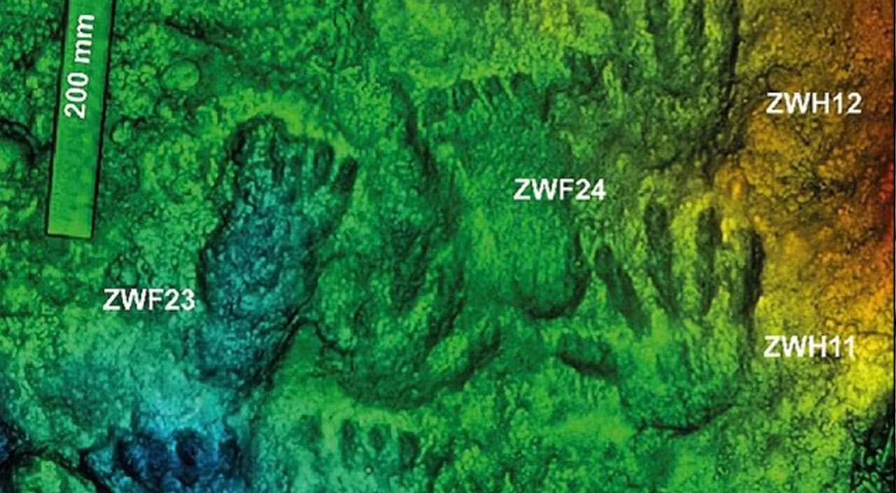 Bilim adamlarından tarihi keşif! Dünyanın en eski sanat eseri bulundu