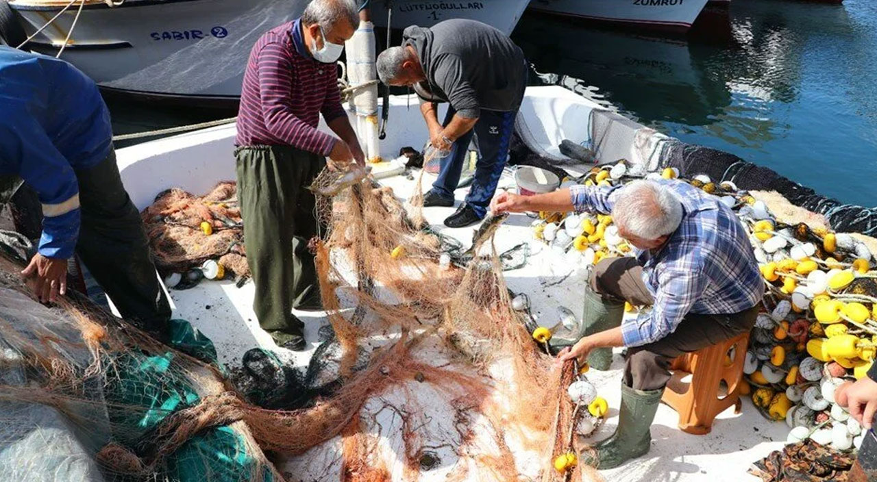 Son 15 yılın en bol dönemi! Marmara Denizi'nde lüfer bolluğu