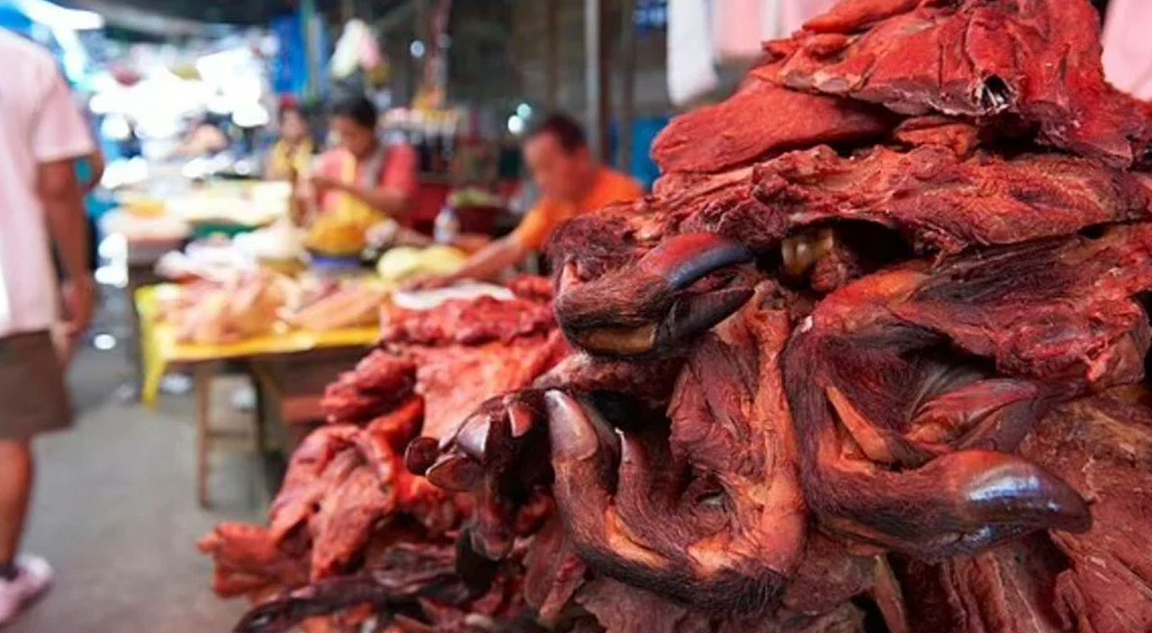 200 yasaklı türü yiyorlar! Amazon'da yeni pandemiye davet