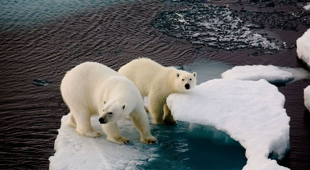 Pandeminin etkisiyle azalmıştı! G20 ülkelerinde karbon emisyonu artıyor