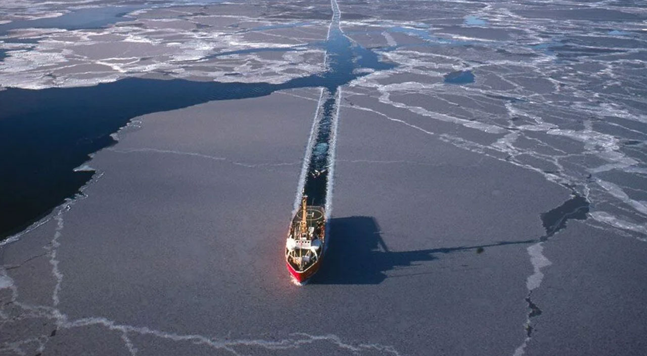 Arktik Deniz Buzu'ndan korkutan görüntü! Son 40 yılda yüzde 50 oranında eridi