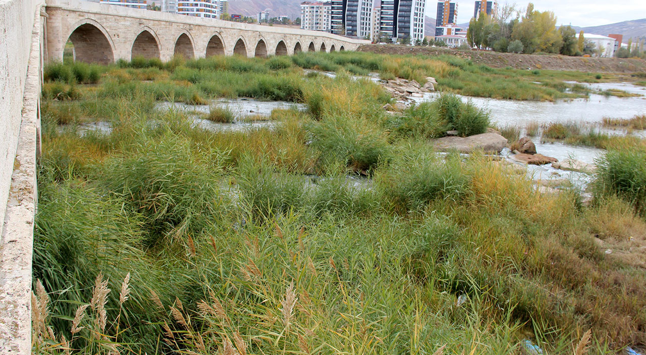 Türkiye’nin en uzun nehri! Kızılırmak otlağa dönüştü