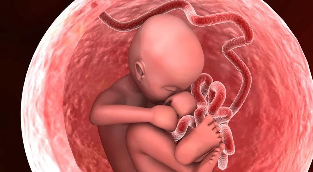 Covid-19’lu hamile ölümlerinin nedeni bebeğin cinsiyeti olabilir!