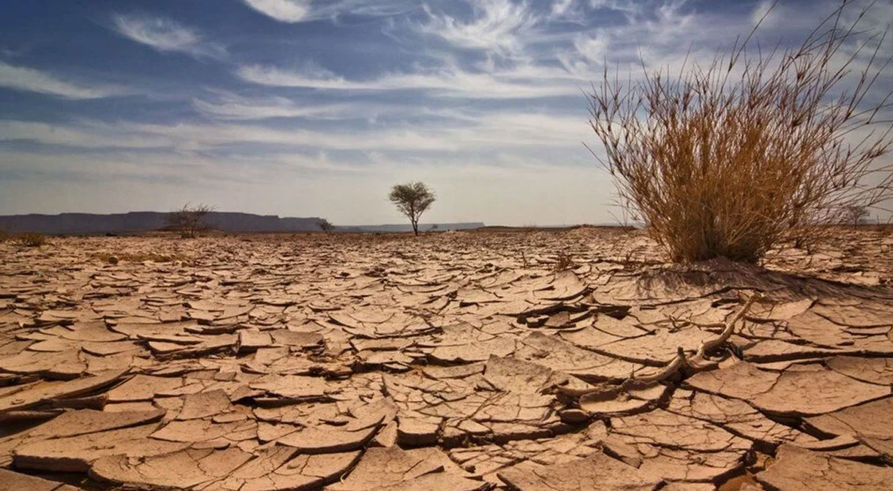 Yüzde 200 arttı! Aşırı sıcaklıklar hızla büyüyen şehirleri ölümle tehdit ediyor