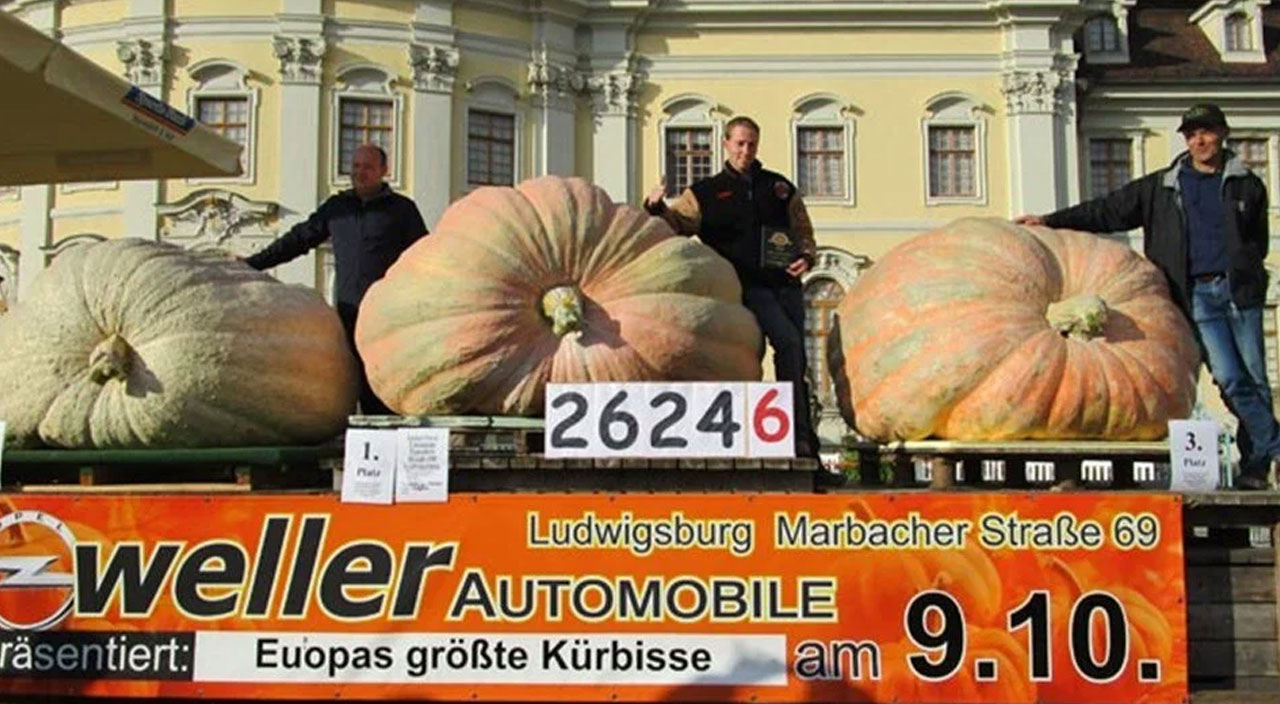 Dünyanın en büyük bal kabağı: Araba ağırlığında