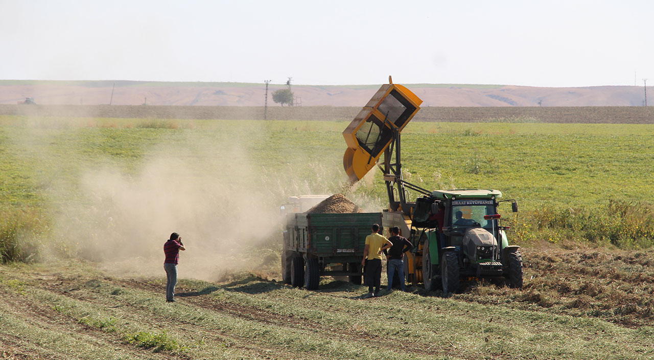 Terörden arındırılan Şırnak’ta çiftçiler üretime yöneldi