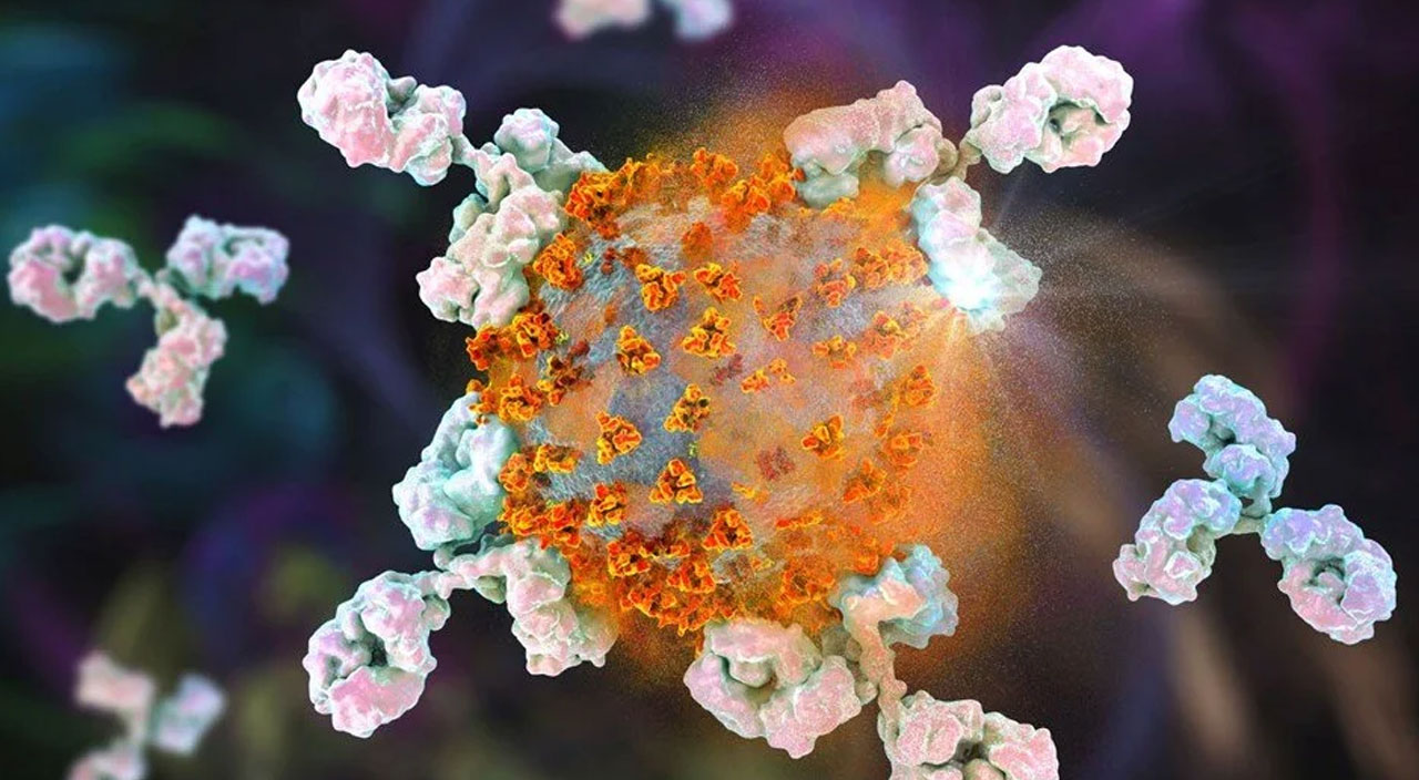 Bilim adamlarından korkutan uyarı: Bir sonraki salgını fareler yayacak