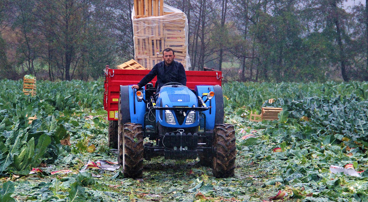 Tüm servetlerini tarıma yatırdılar: Ailecek yağmur çamur dinlemeden çalışıyorlar