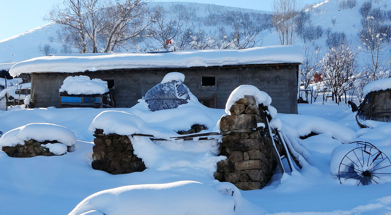 Muş’ta kar kalınlığı 1 metreye ulaştı: Hayat durma noktasına geldi