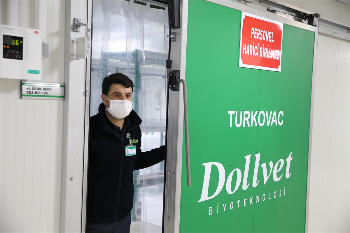 Türkiye’nin yerli korona virüs aşısı Türkovac’ın ilk sevkiyatı yapıldı