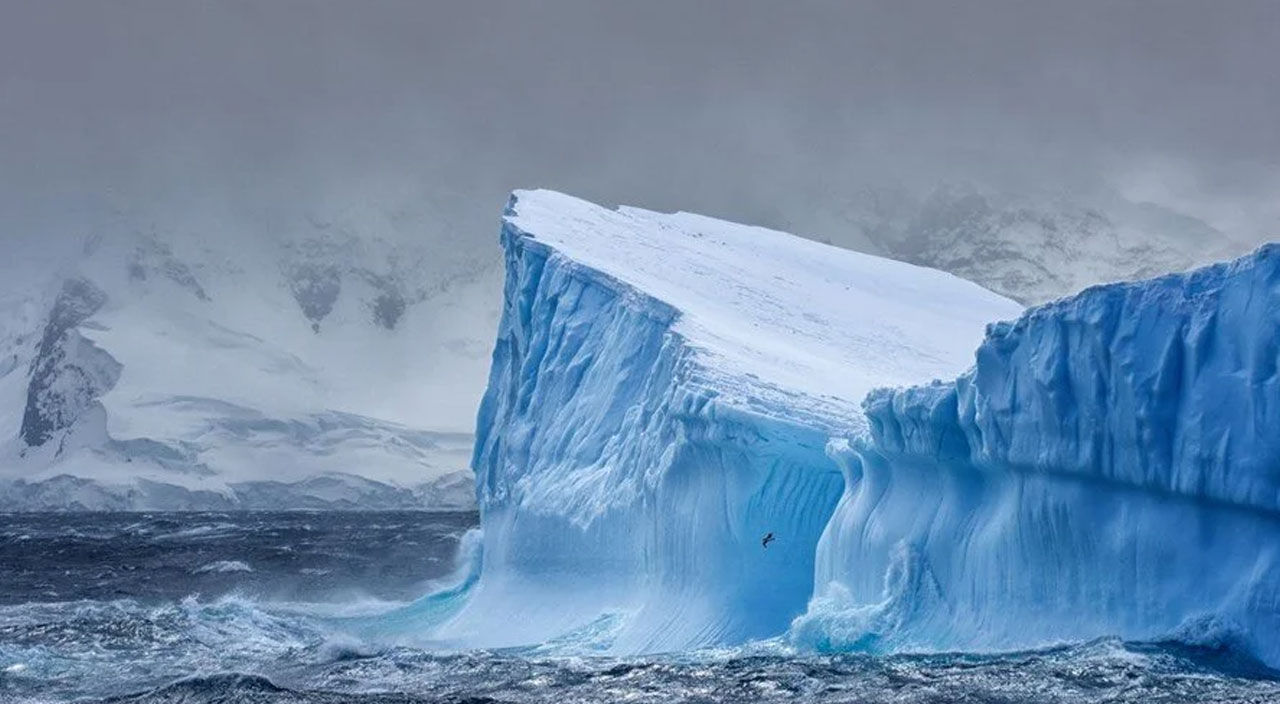 Antarktika’da tarihi keşif: Buzulların altında yeni bir yaşam keşfedildi