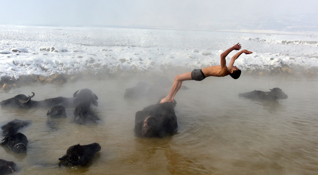 Eksi 20 derecede suya giriyorlar: Mandaların kaplıca keyfi