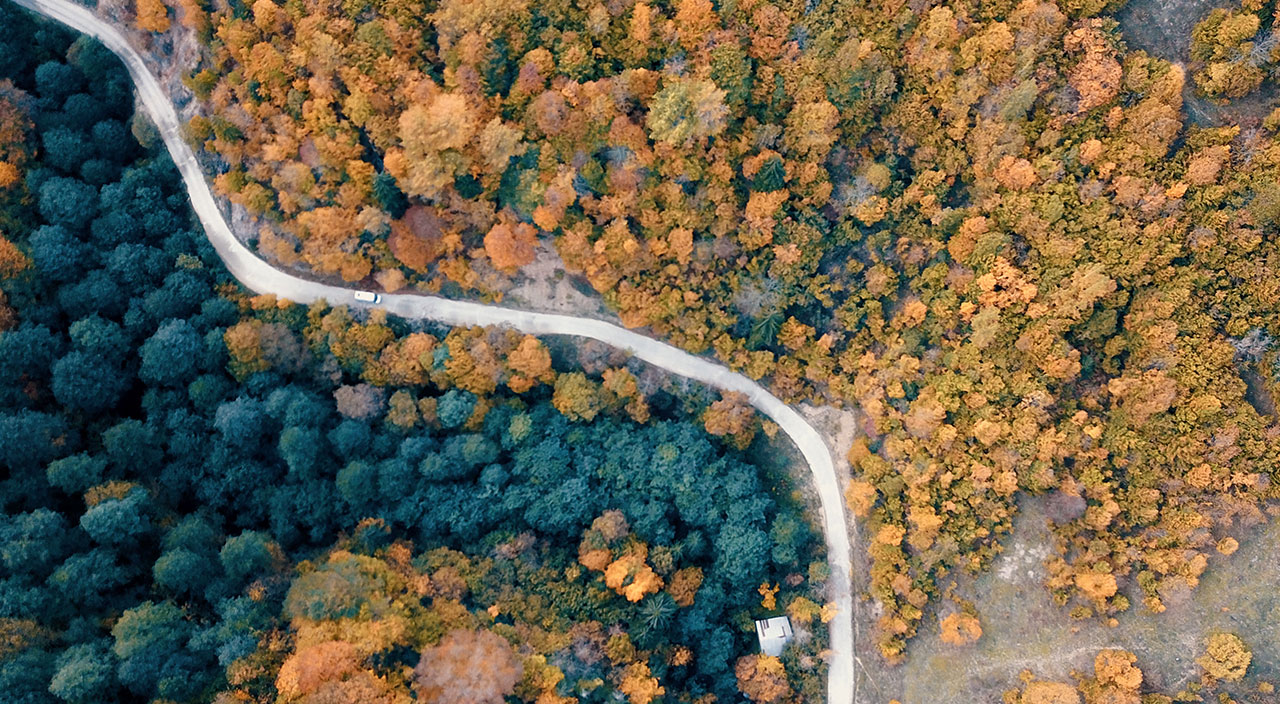 Örümcek Ormanlarında renk cümbüşü! Eşsiz güzelliğiyle kendine hayran bırakıyor