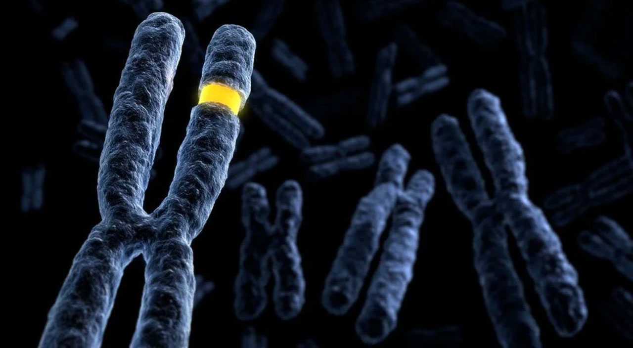 Covid-19’lu hamile ölümlerinin nedeni bebeğin cinsiyeti olabilir!