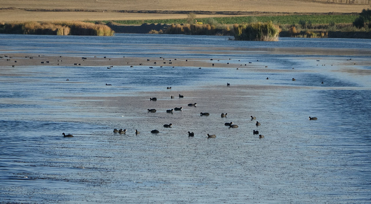 Son görüntüsüyle korkutan Ulaş Gölü eski güzelliğine kavuşuyor