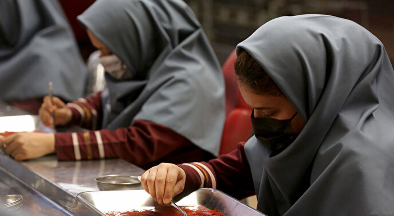 Kuraklık safranı da vurdu! Fiyatlar yüzde 250 arttı