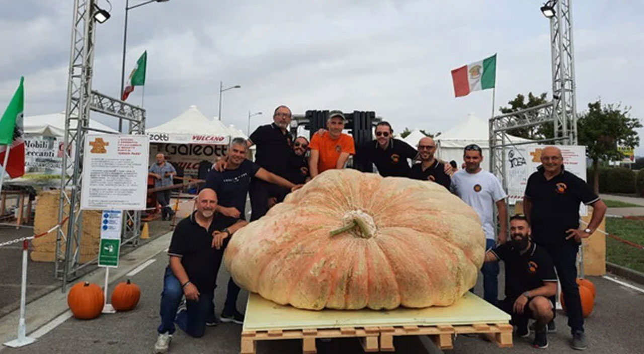 Dünyanın en büyük bal kabağı: Araba ağırlığında