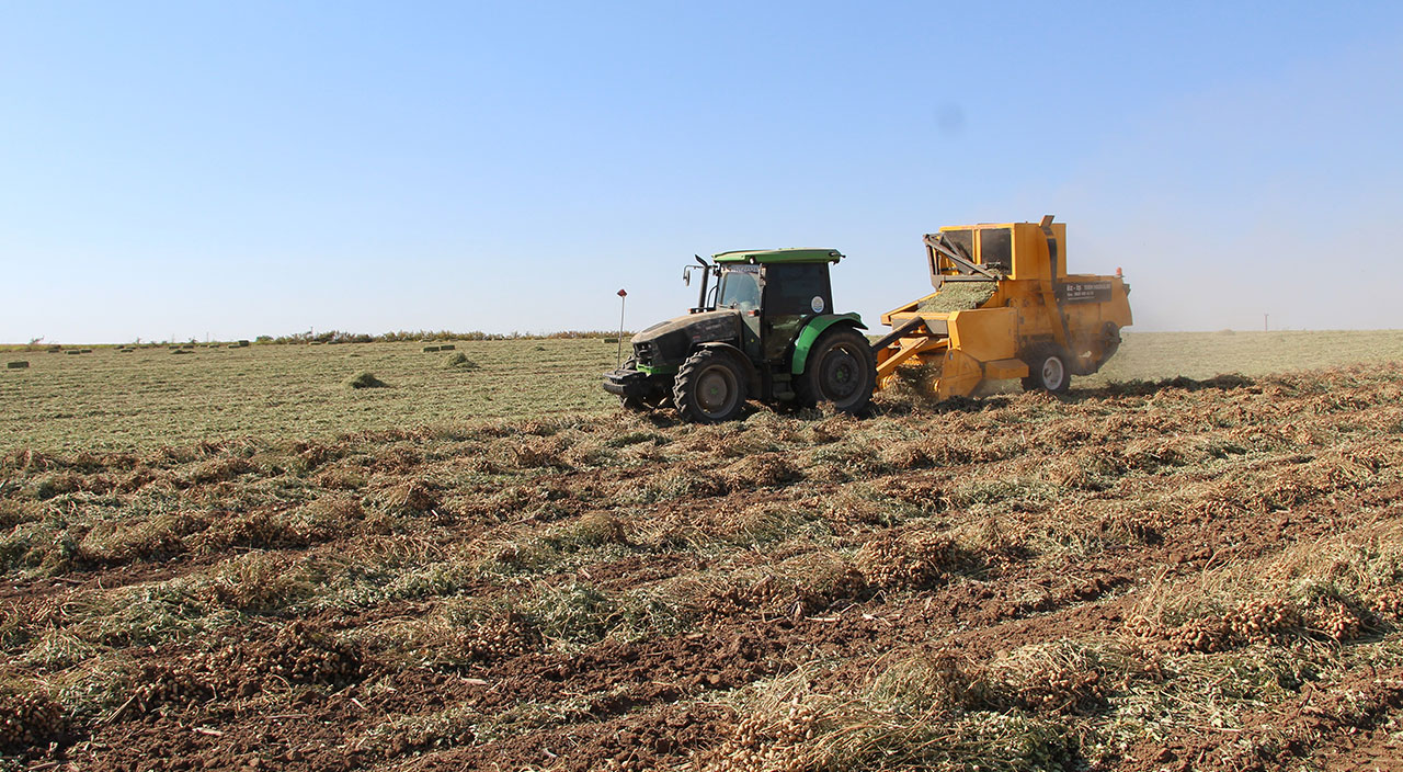 Terörden arındırılan Şırnak’ta çiftçiler üretime yöneldi
