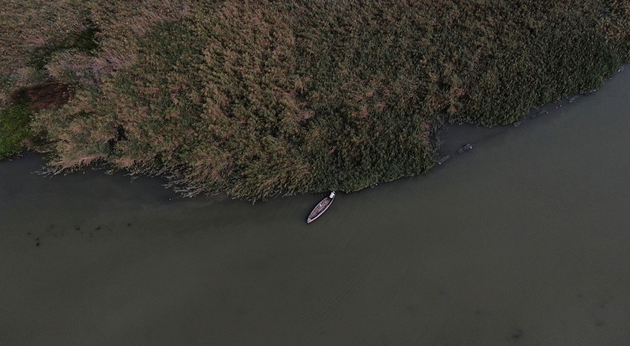 Ulubat Gölü can çekişiyor! Yetkililer uyardı