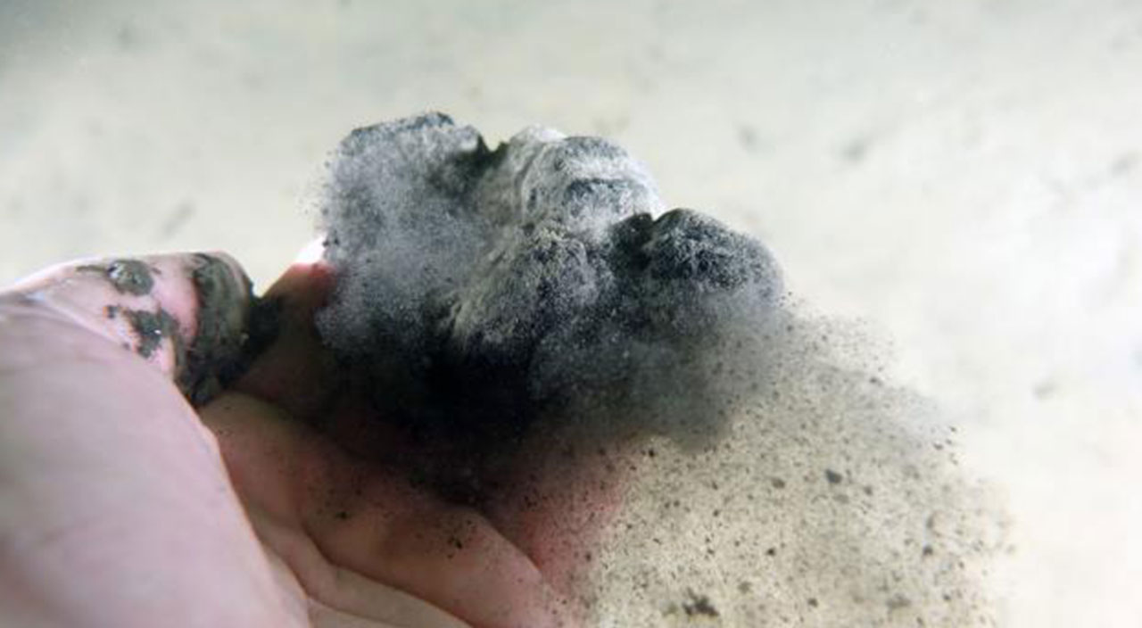 Marmara Denizi'nde dibe çöken müsilaj hızla parçalanmaya devam ediyor