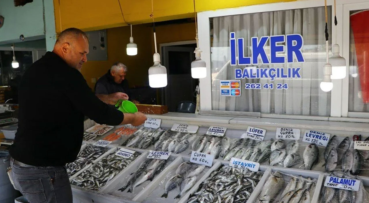 Son 15 yılın en bol dönemi! Marmara Denizi'nde lüfer bolluğu